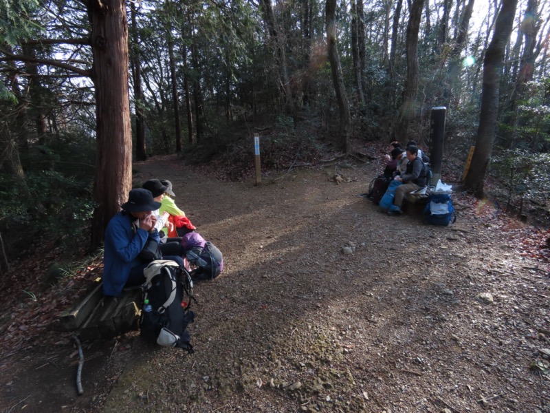 日和田山、物見山